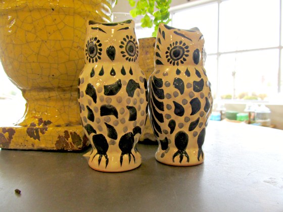 twinowlsanthropologie