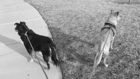 2014-03-27_15.48.14[1]